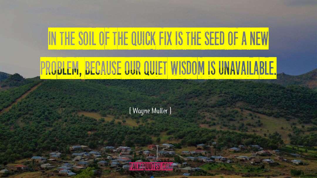 Wisdom Prevails quotes by Wayne Muller