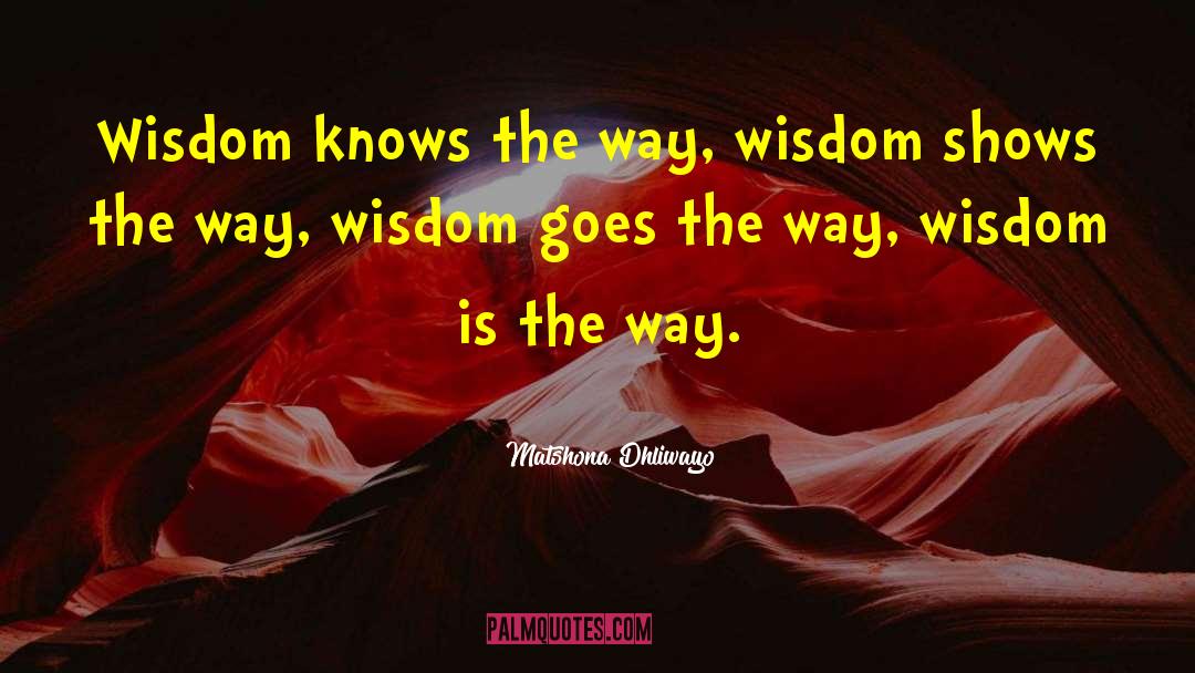 Wisdom Sits In Places quotes by Matshona Dhliwayo