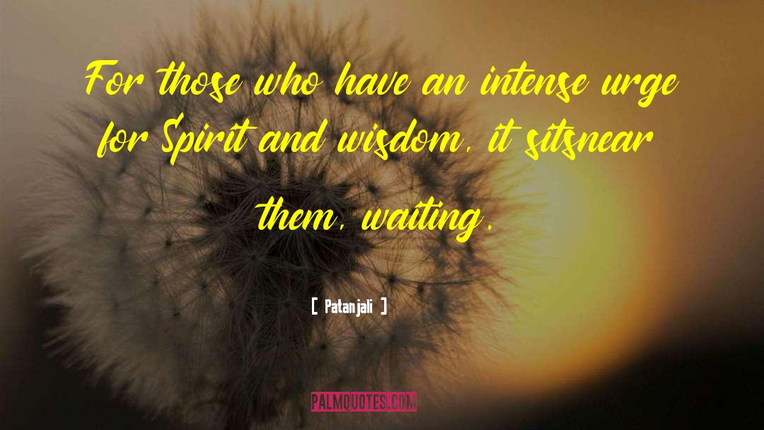 Wisdom Sits In Places quotes by Patanjali