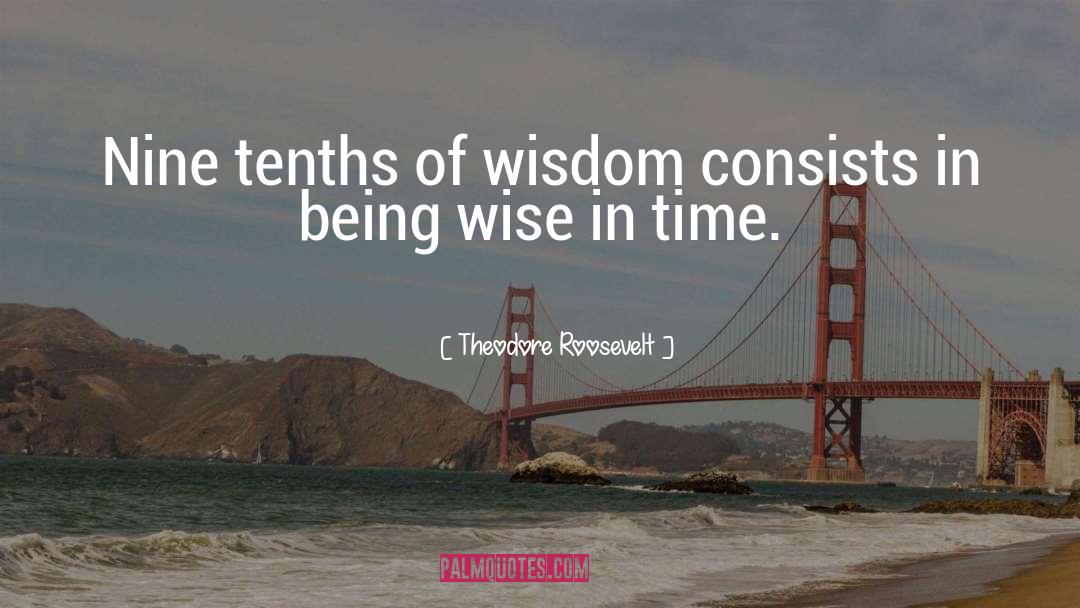 Wisdom Time quotes by Theodore Roosevelt