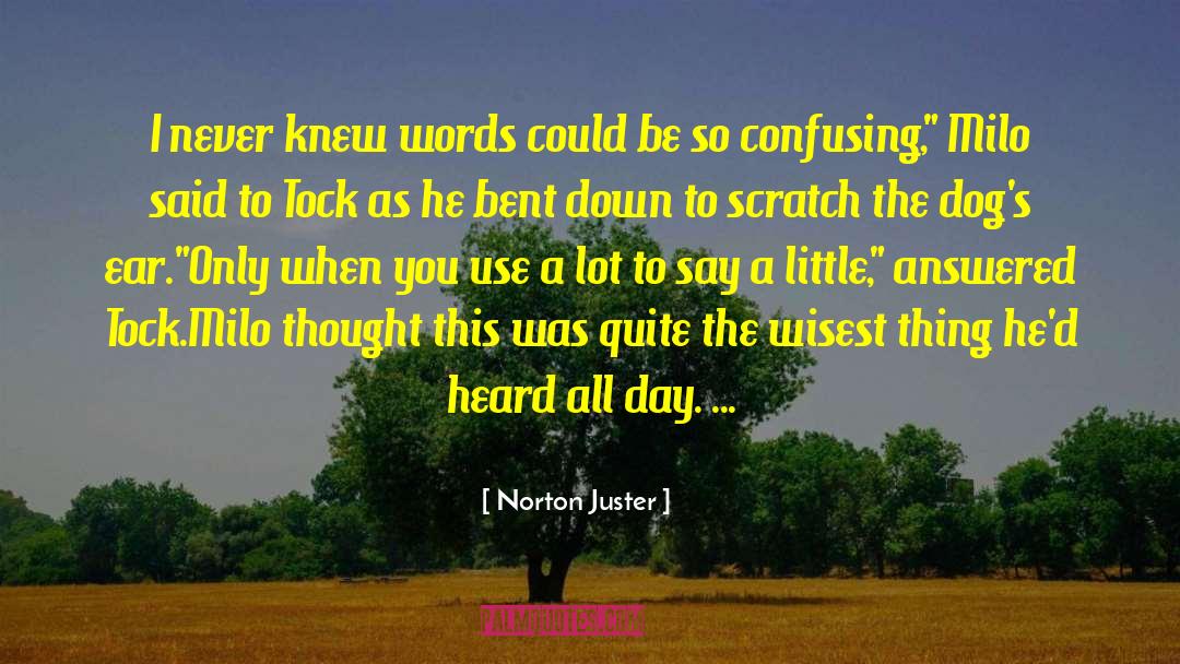 Wisdom Words quotes by Norton Juster