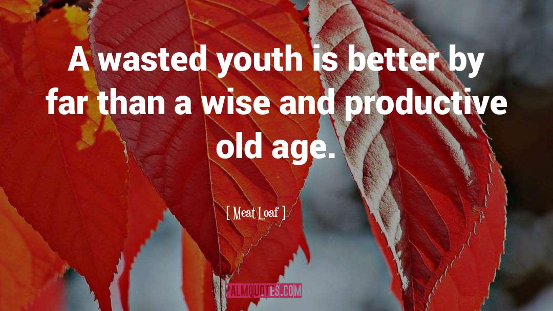 Wise Age quotes by Meat Loaf