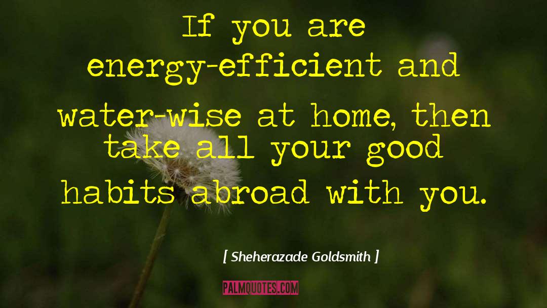 Wise Owl Birthday quotes by Sheherazade Goldsmith