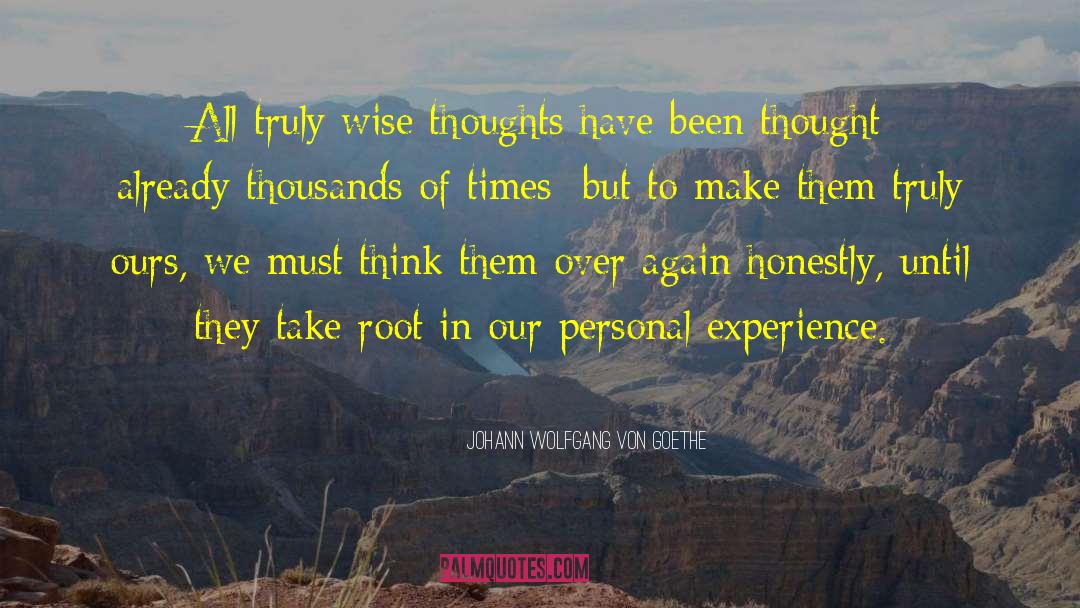 Wise Thoughts quotes by Johann Wolfgang Von Goethe