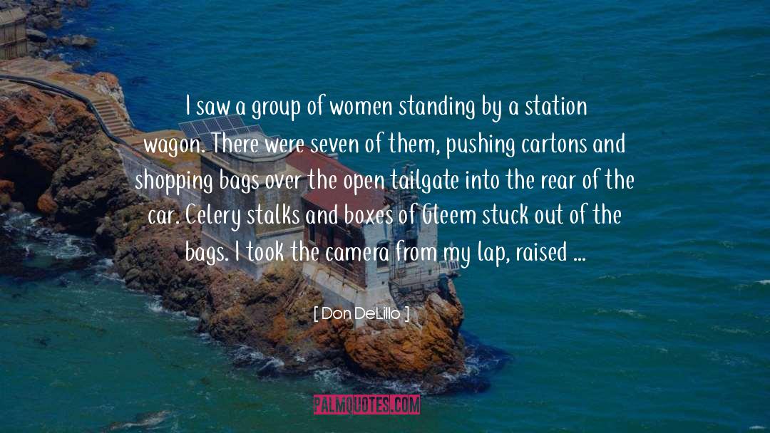 Wise Women quotes by Don DeLillo