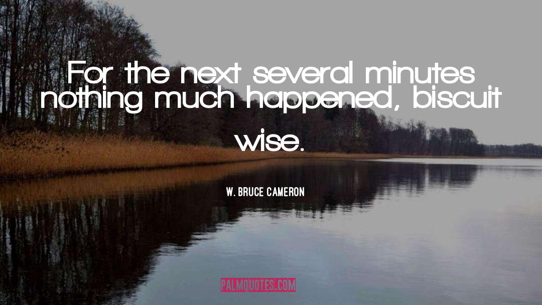 Wise Wordds quotes by W. Bruce Cameron