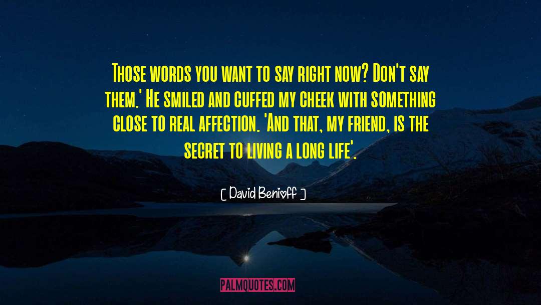 Wise Words quotes by David Benioff