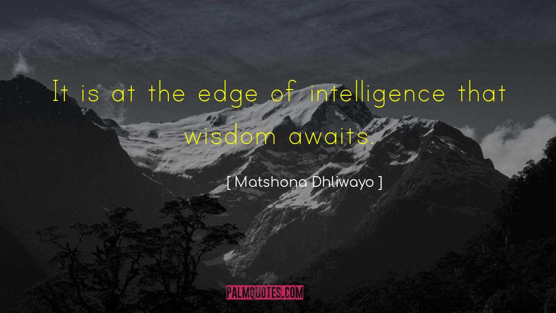 Wise Words quotes by Matshona Dhliwayo
