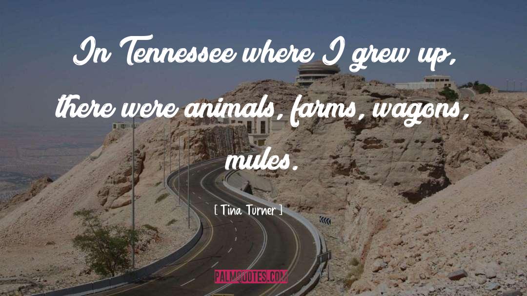 Wiseacre Farms quotes by Tina Turner