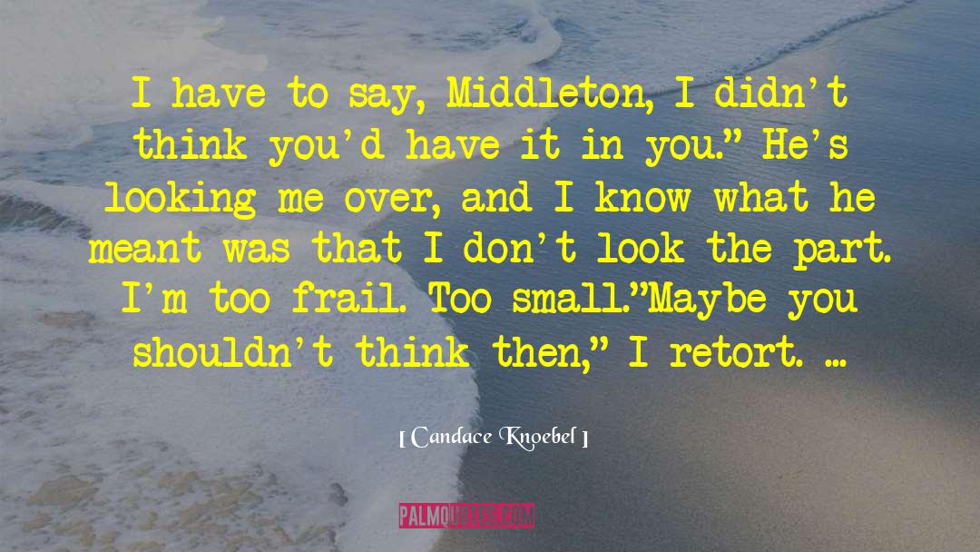 Wiseguy Retort quotes by Candace Knoebel