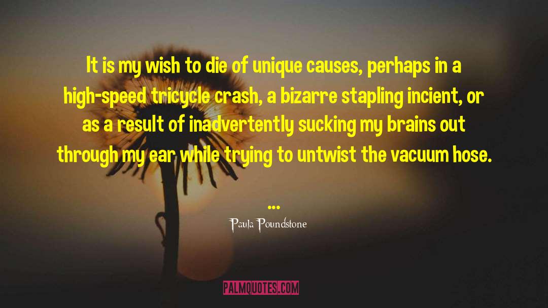 Wish To Die quotes by Paula Poundstone