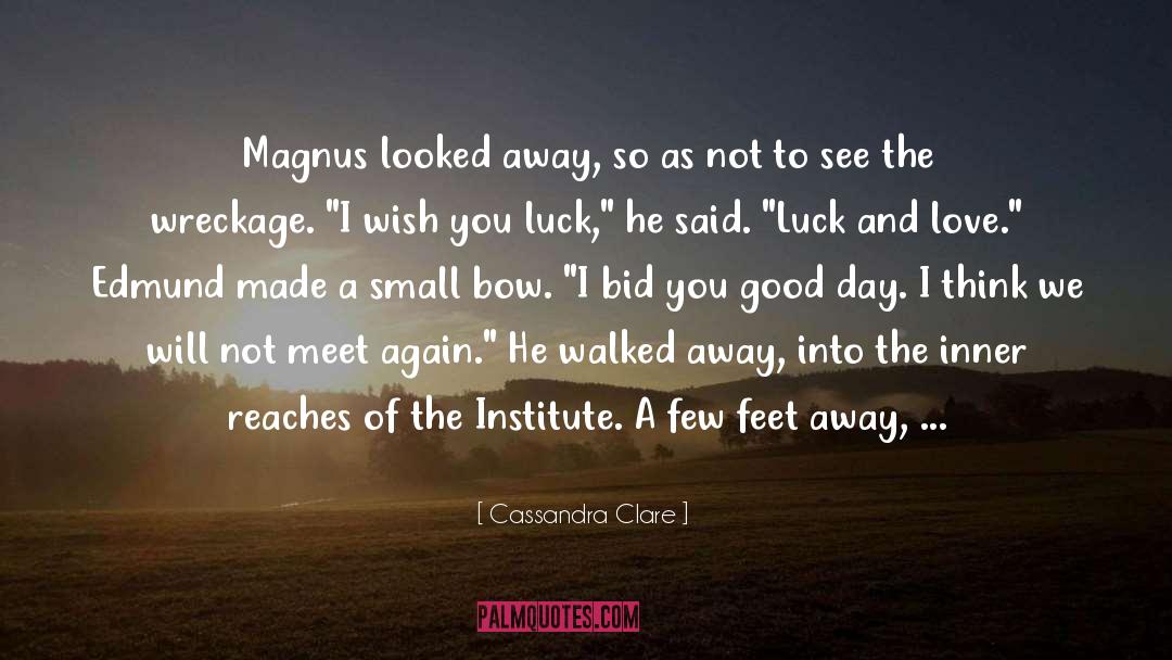 Wish You Luck quotes by Cassandra Clare