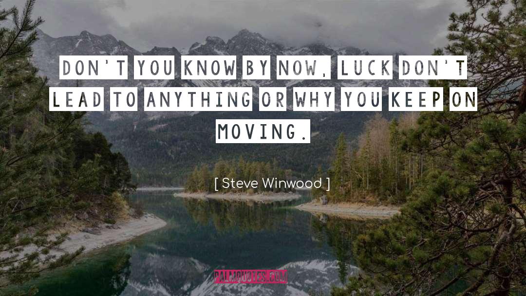 Wish You Luck quotes by Steve Winwood