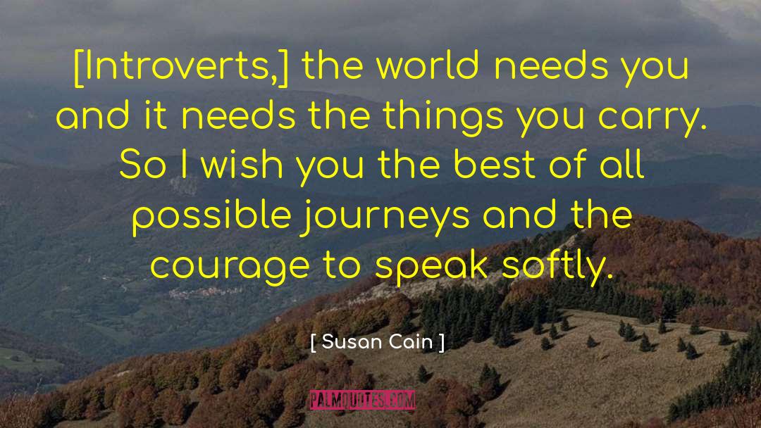 Wish You The Best quotes by Susan Cain