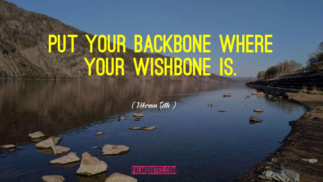 Wishbone quotes by Vikram Seth