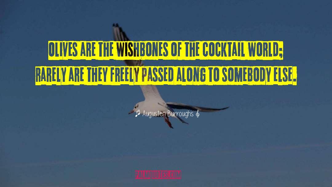 Wishbones quotes by Augusten Burroughs