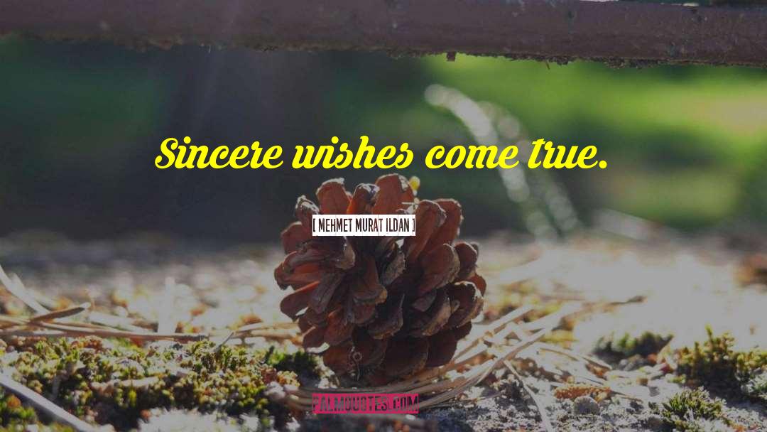 Wishes Come True quotes by Mehmet Murat Ildan