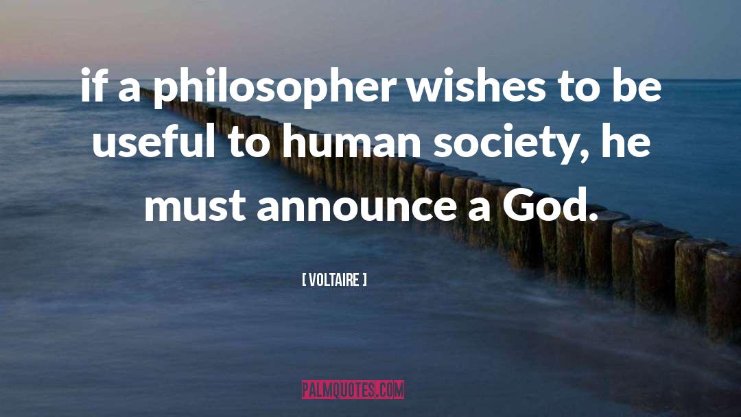 Wishes Fuliflled quotes by Voltaire