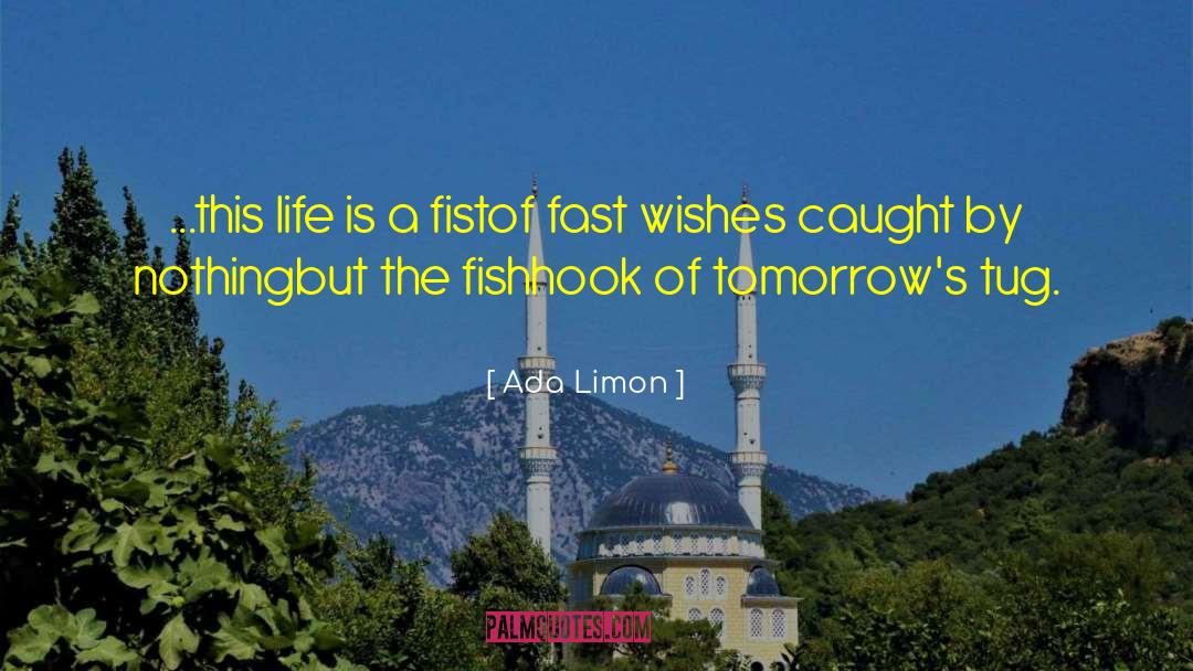 Wishes Fuliflled quotes by Ada Limon