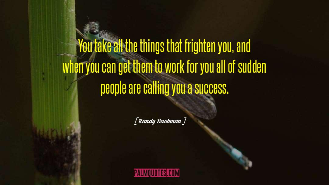Wishing For Success quotes by Randy Bachman