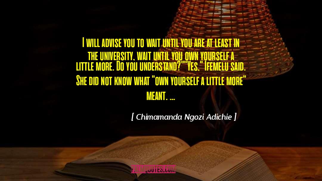 Wistful Advise quotes by Chimamanda Ngozi Adichie