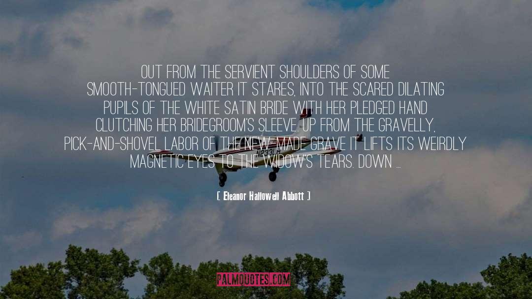 Wistful quotes by Eleanor Hallowell Abbott