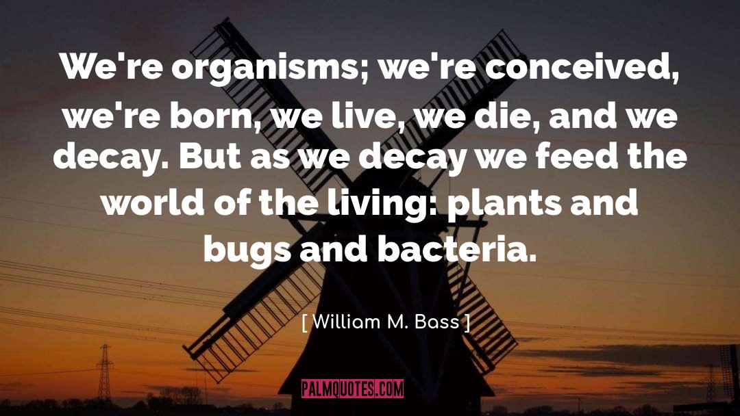 Witch Born quotes by William M. Bass