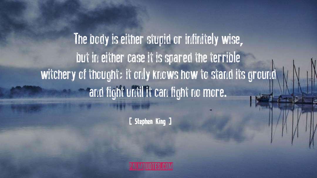 Witchery quotes by Stephen King