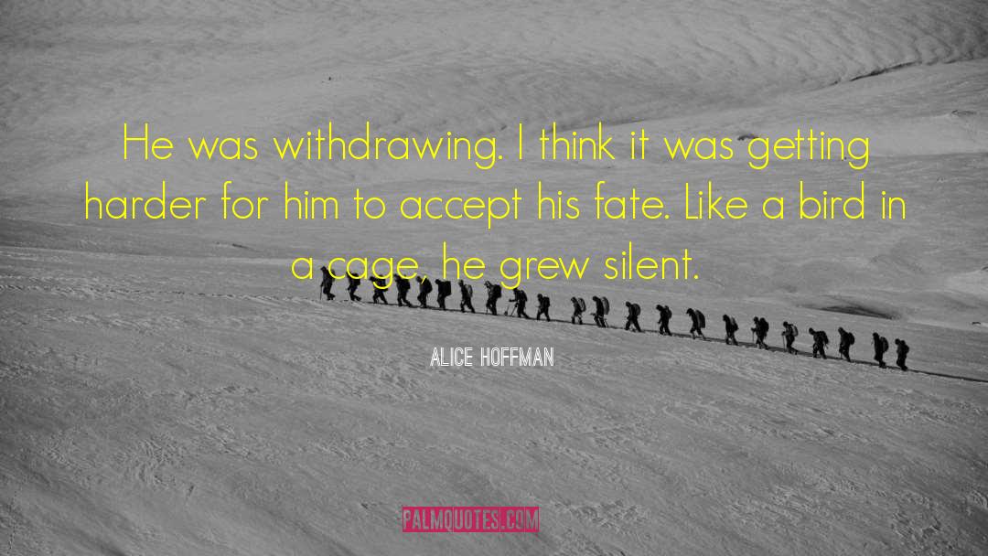 Withdrawing quotes by Alice Hoffman