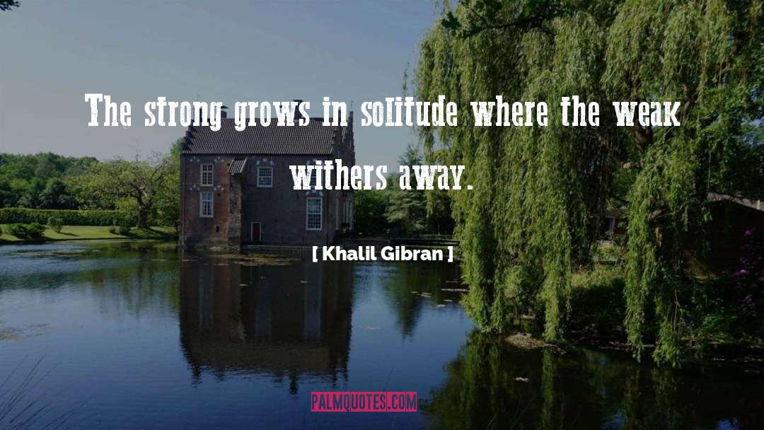 Withers quotes by Khalil Gibran