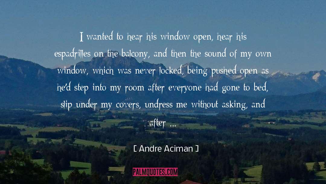 Without Asking quotes by Andre Aciman