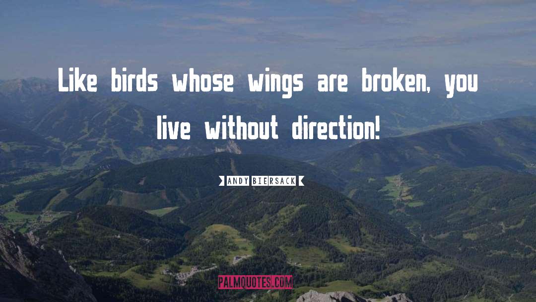 Without Direction quotes by Andy Biersack