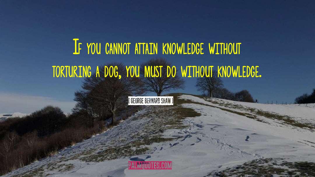 Without Knowledge quotes by George Bernard Shaw