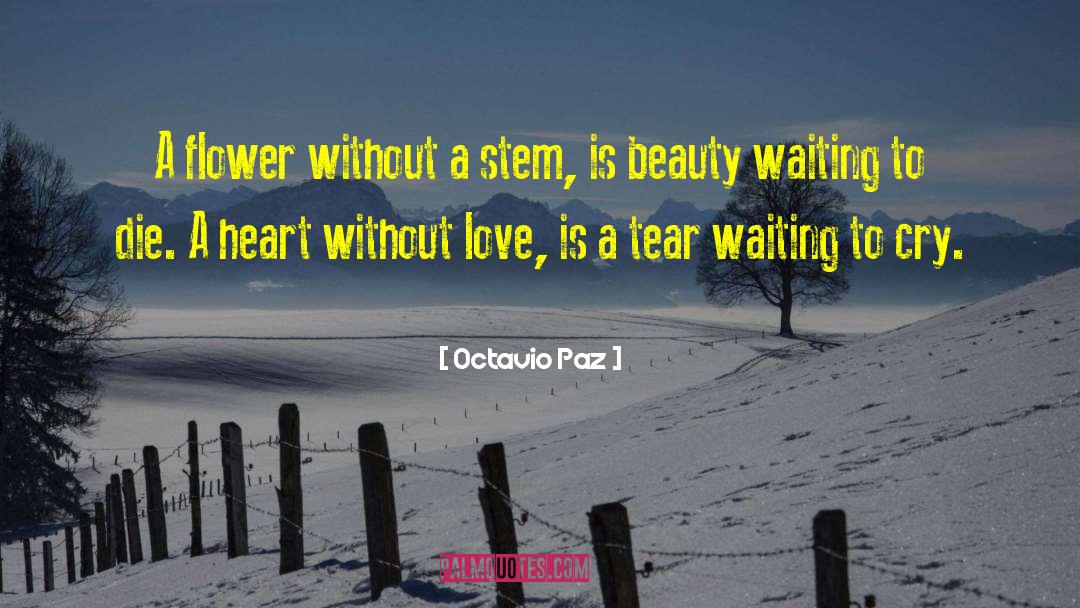Without Love quotes by Octavio Paz