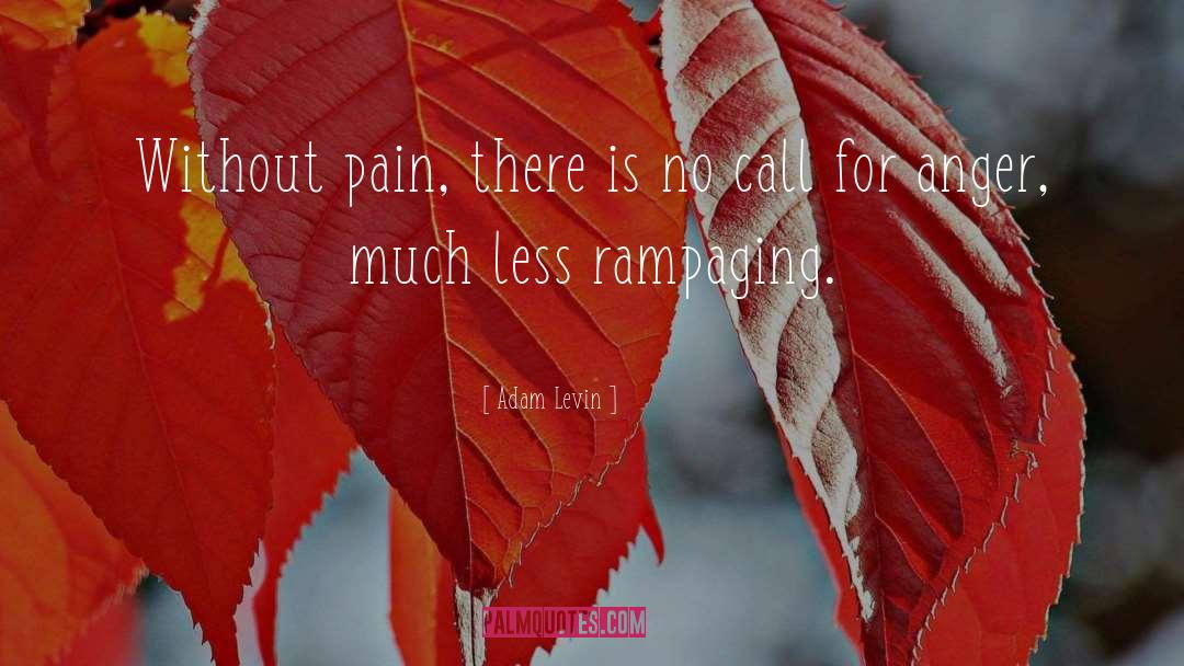 Without Pain quotes by Adam Levin