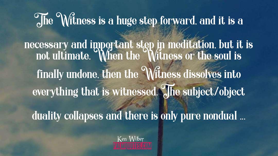 Witness quotes by Ken Wilber