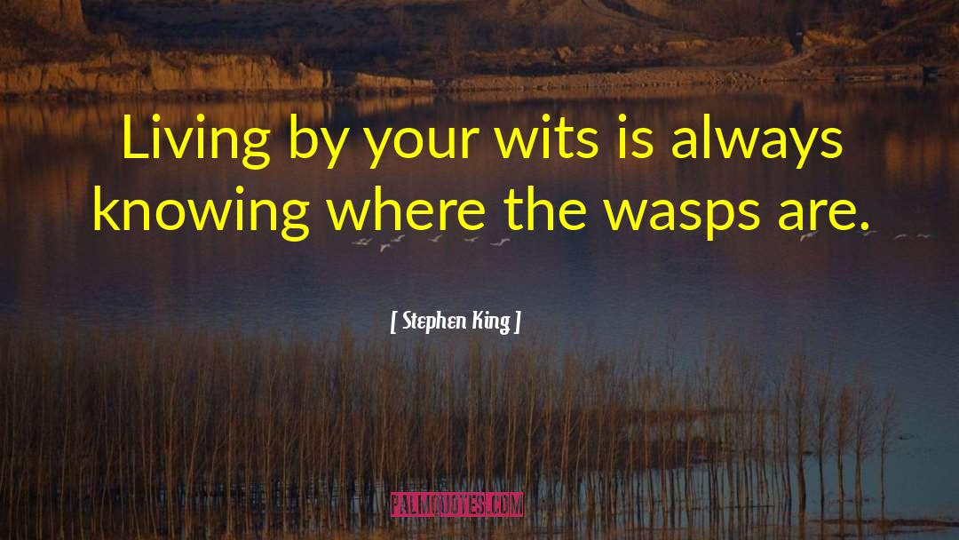 Wits quotes by Stephen King
