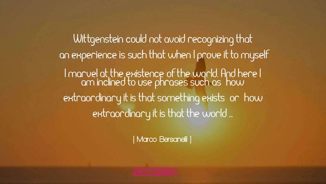 Wittgenstein quotes by Marco Bersanelli