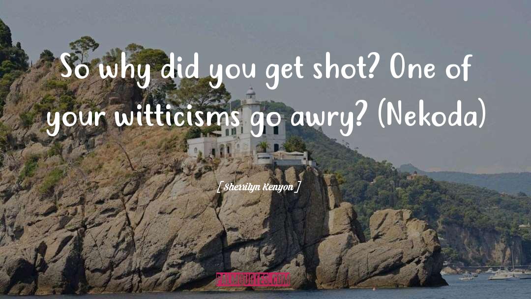 Witticisms quotes by Sherrilyn Kenyon