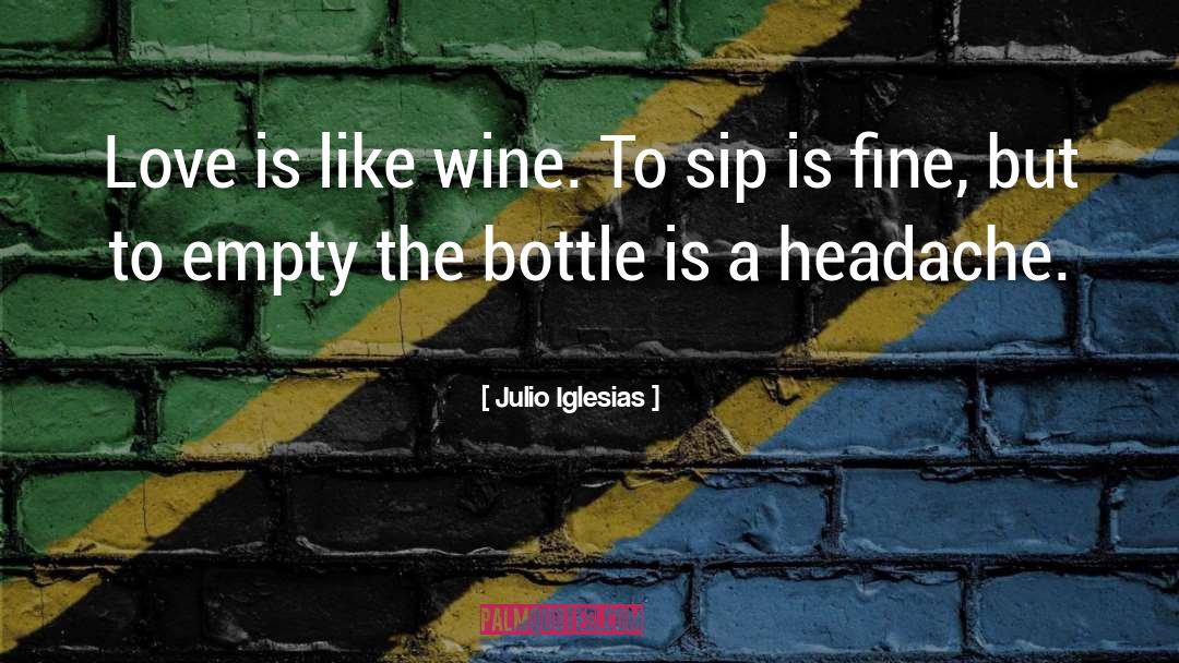Witty Wine quotes by Julio Iglesias