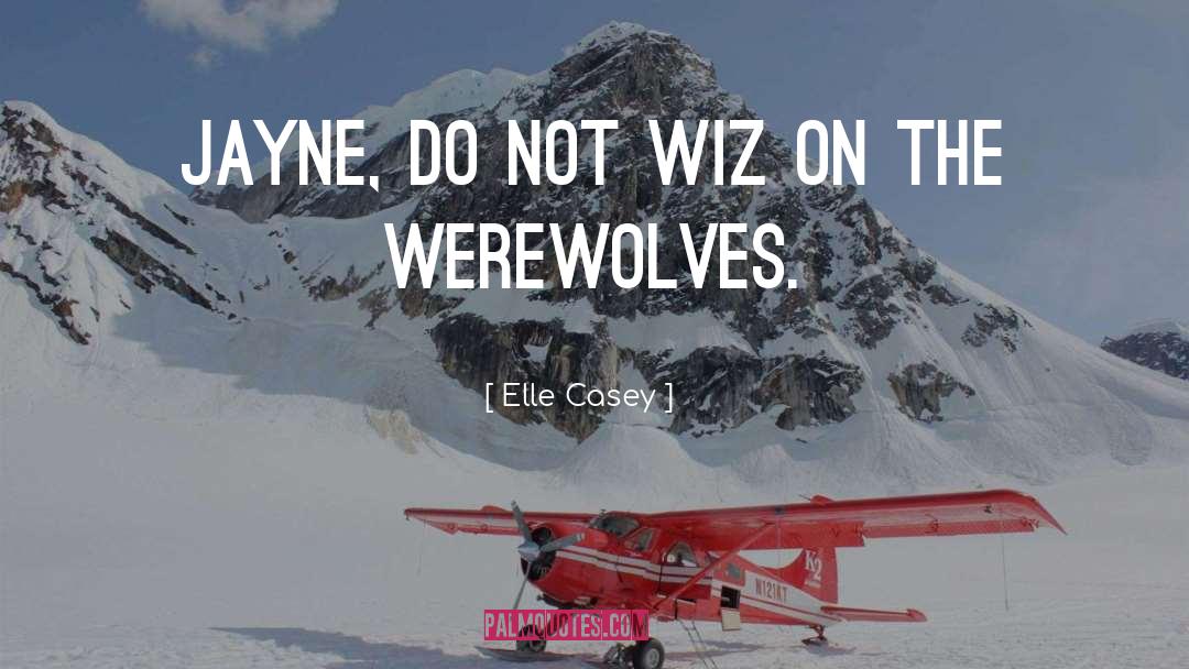 Wiz quotes by Elle Casey