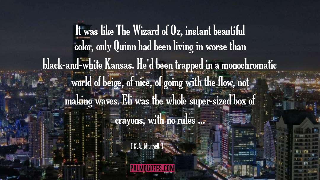 Wizard Of Oz quotes by K.A. Mitchell