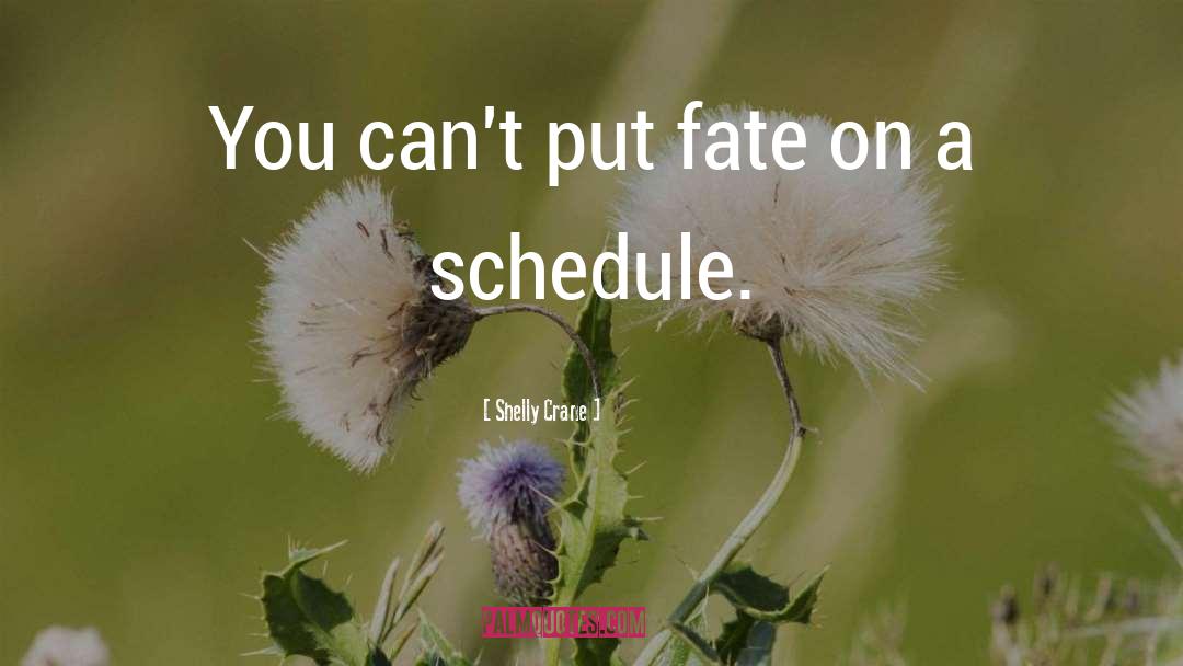 Wjct Schedule quotes by Shelly Crane