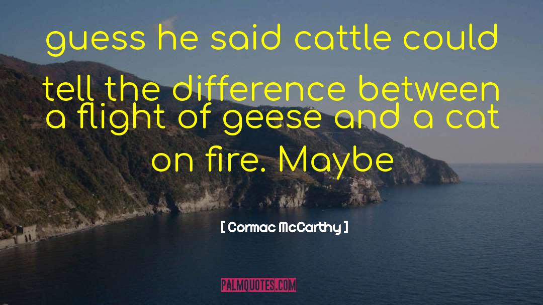 Wohlfahrt quotes by Cormac McCarthy