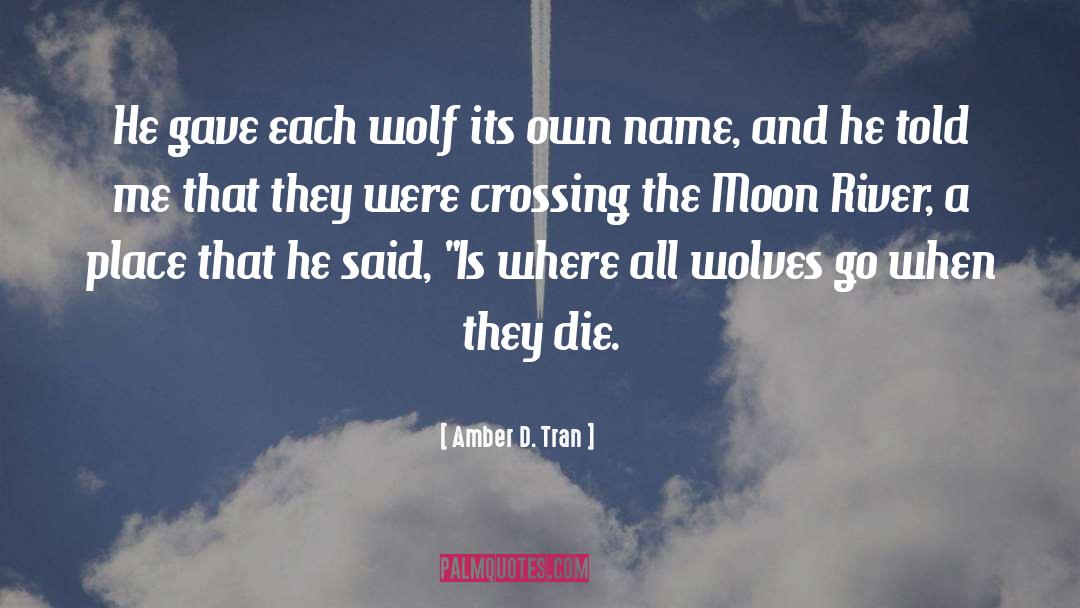 Wolf And Moon quotes by Amber D. Tran