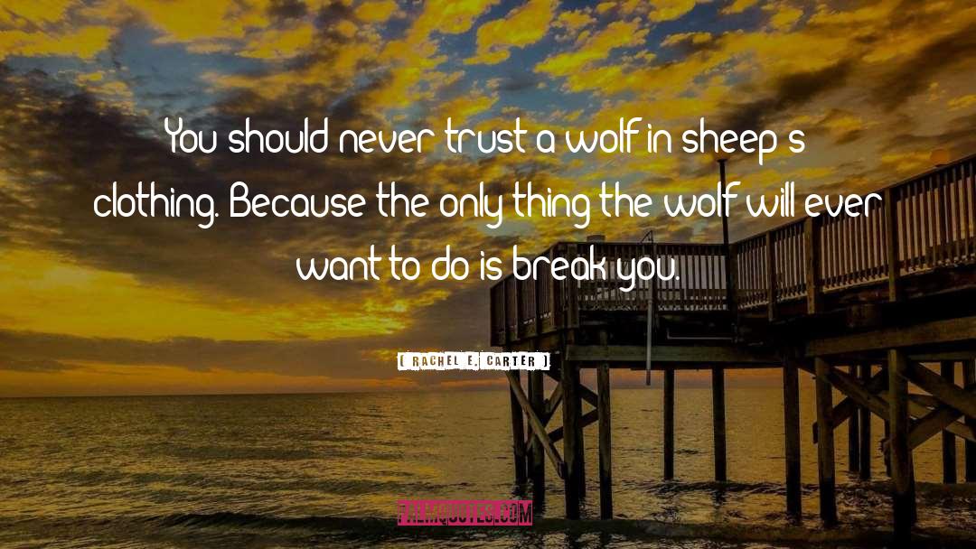 Wolf In Sheeps Clothing quotes by Rachel E. Carter