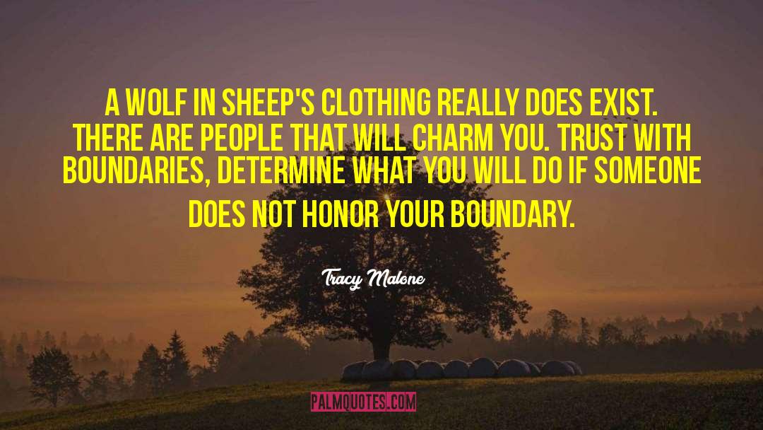 Wolf In Sheeps Clothing quotes by Tracy Malone