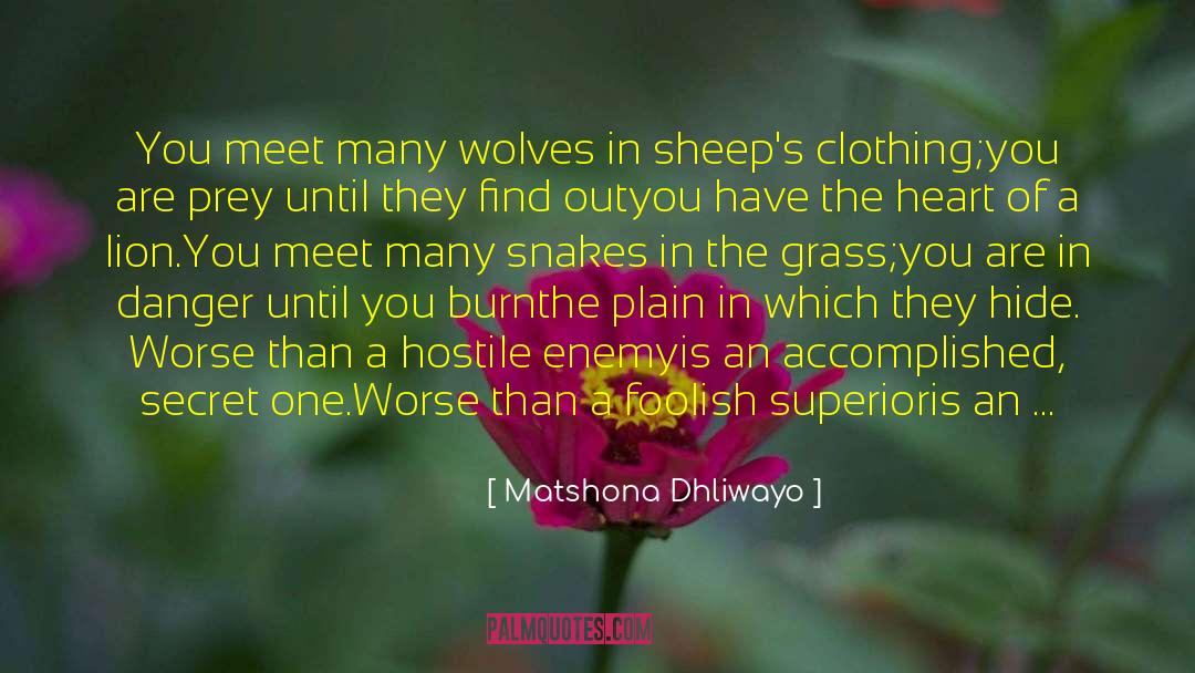 Wolf In Sheeps Clothing quotes by Matshona Dhliwayo