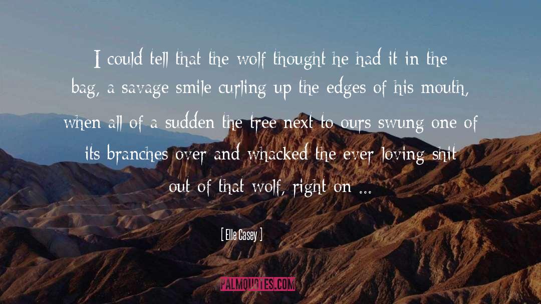 Wolf Of The West quotes by Elle Casey