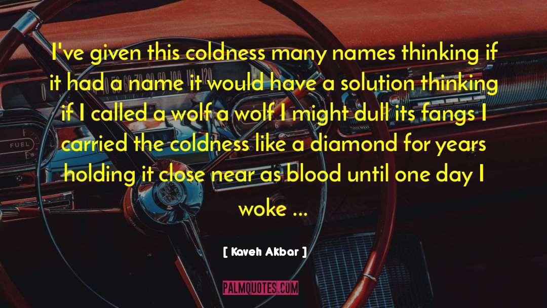Wolf Wisdom quotes by Kaveh Akbar